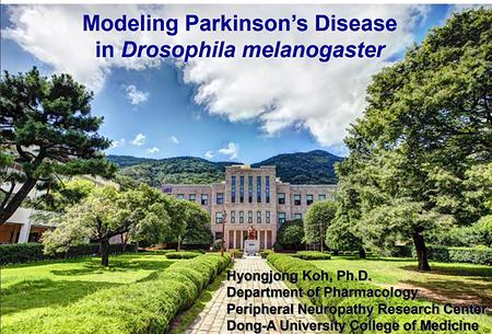 Modeling Parkinson's Disease in Drosophila melanogaster